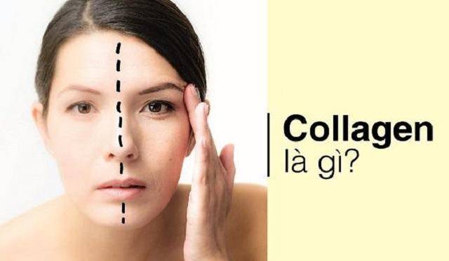 Collagen là gì? Những tác dụng không ngờ tới của Collagen trong đời sống